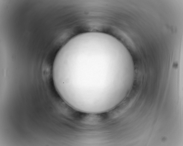 X0000103330123200809192213