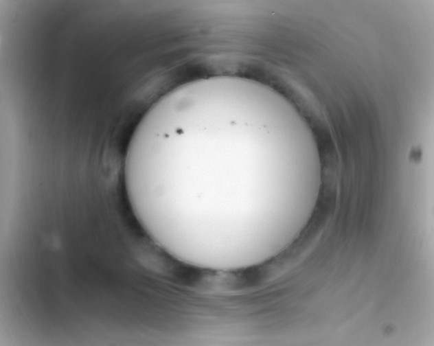 X0000103330125200809192213