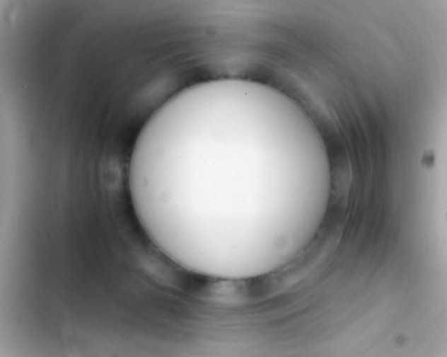 X0000103330126200809192213