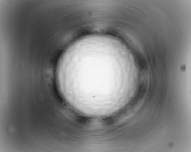 X0000103330127200809192213