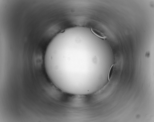 X0000103330128200809192213