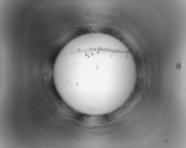 X0000103330129200809192213