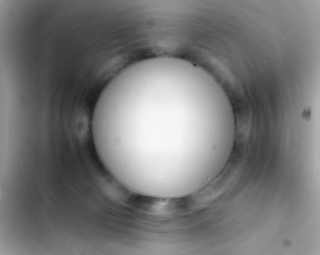 X0000103330130200809192213