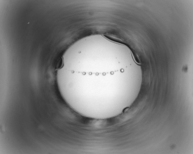 X0000103330135200809192213