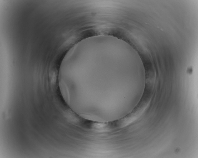 X0000103330139200809192213