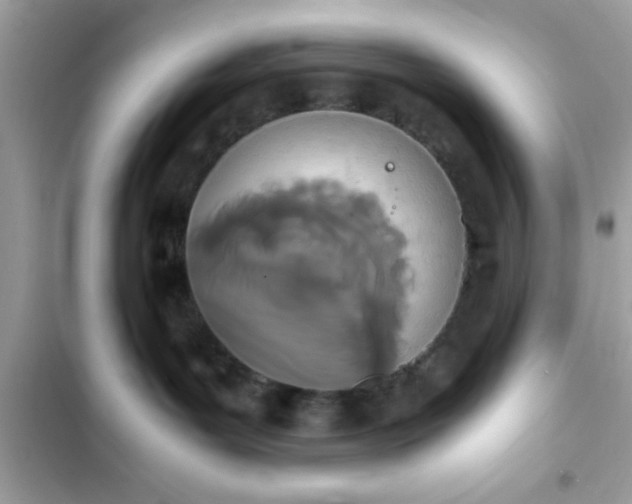 X0000103330143200809192213