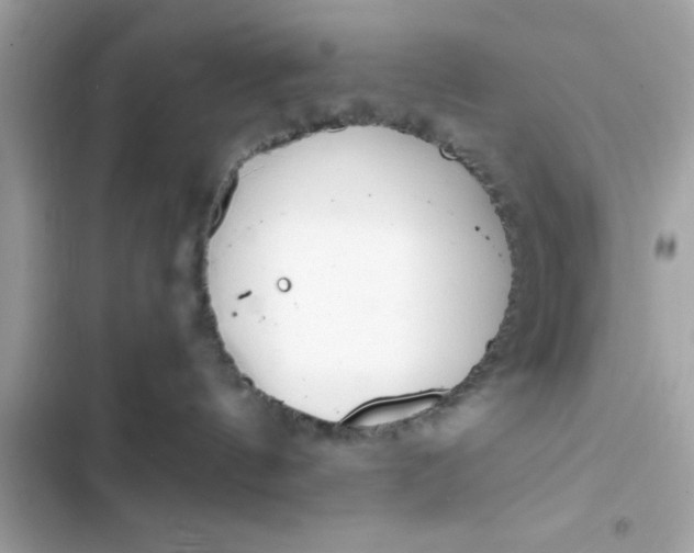 X0000103330144200809192213