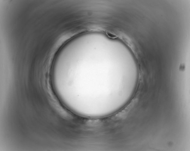 X0000103330145200809192213