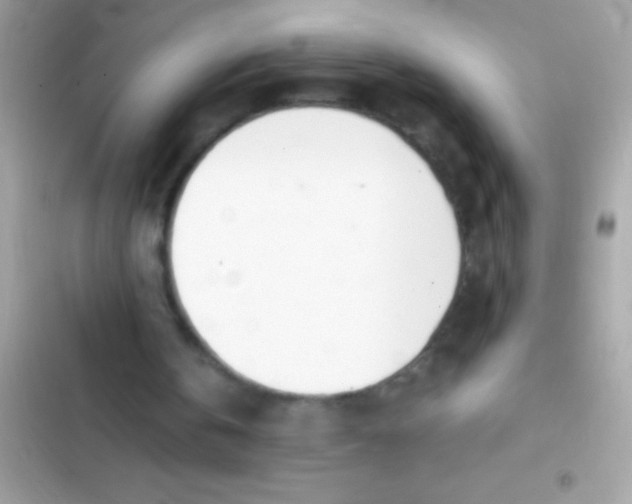 X0000103330146200809192213