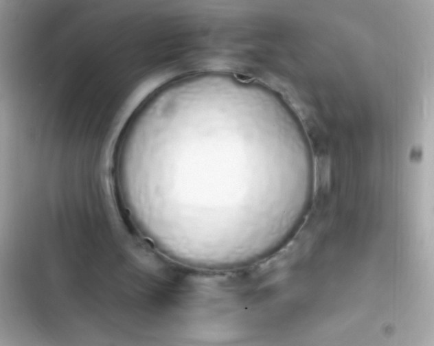 X0000103330147200809192213