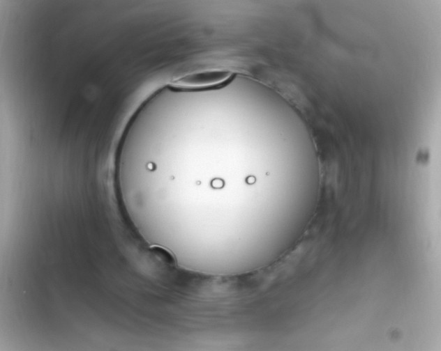 X0000103330148200809192213