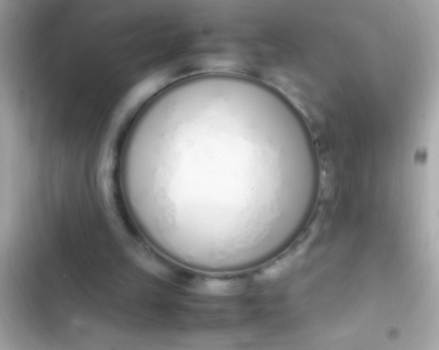 X0000103330149200809192213