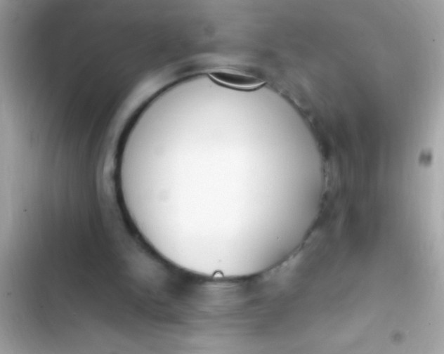 X0000103330150200809192213