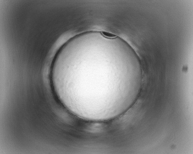 X0000103330151200809192213