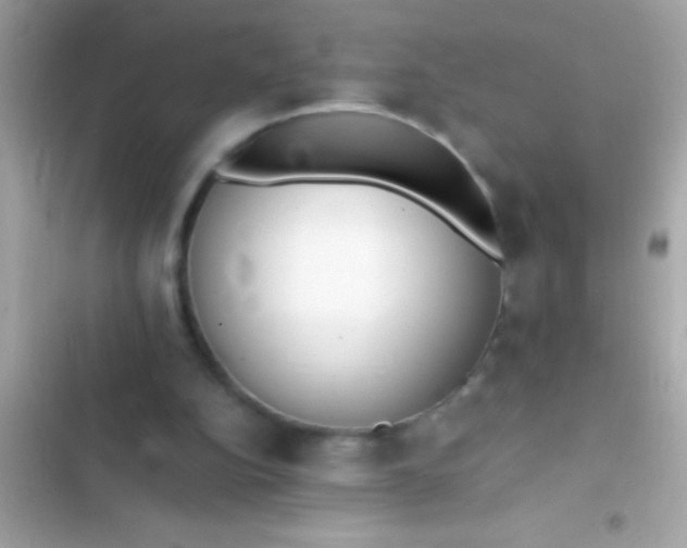 X0000103330152200809192213