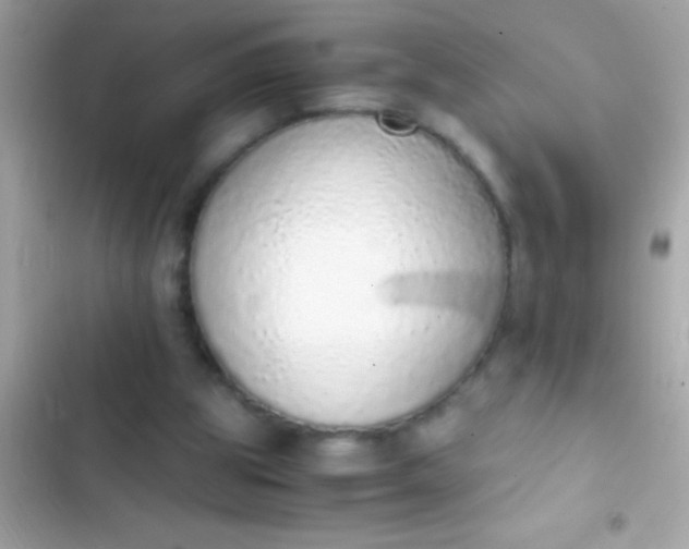 X0000103330153200809192213