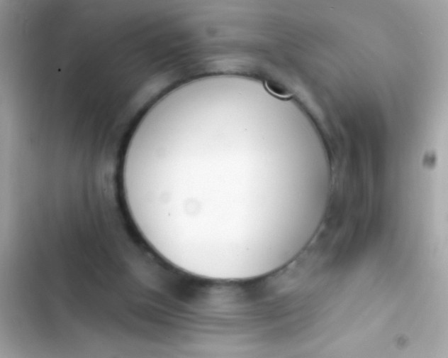 X0000103330154200809192213