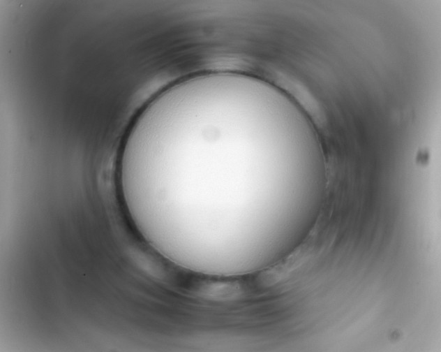 X0000103330155200809192213