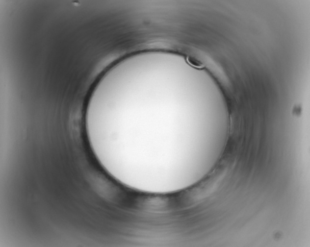 X0000103330156200809192213