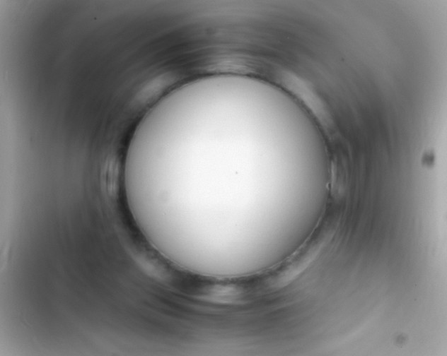 X0000103330157200809192213