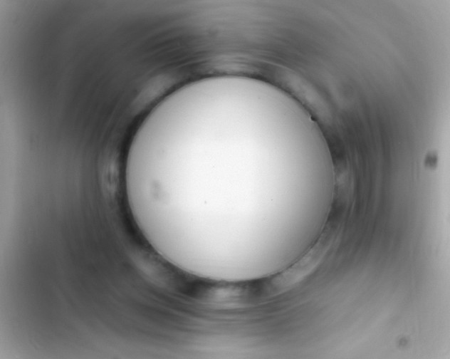 X0000103330158200809192213