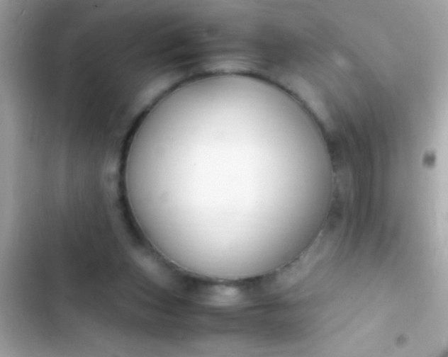 X0000103330159200809192213