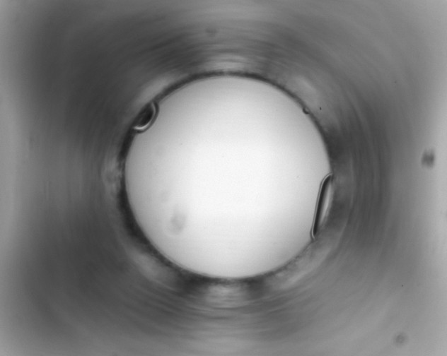 X0000103330160200809192213