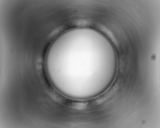 X0000103330161200809192213