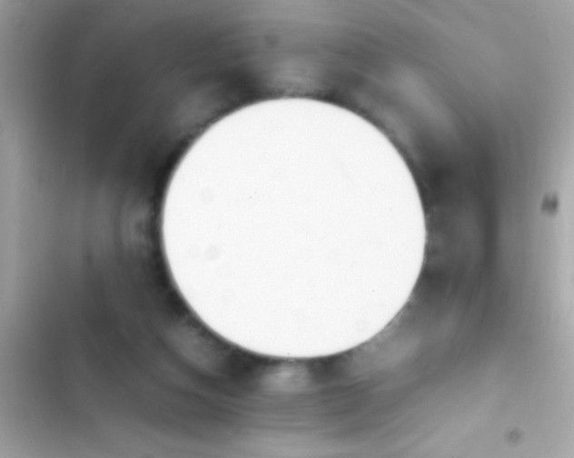 X0000103330162200809192213