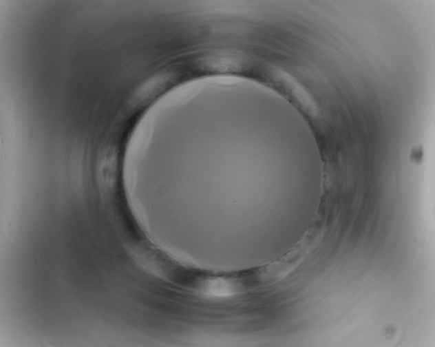 X0000103330163200809192213