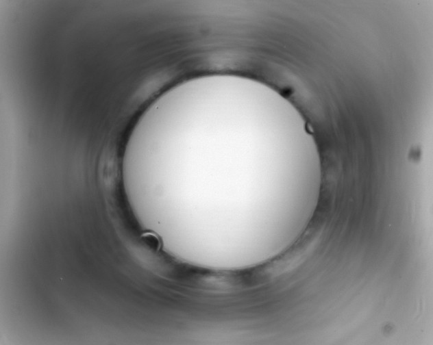 X0000103330164200809192213