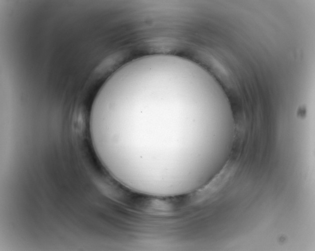 X0000103330166200809192213