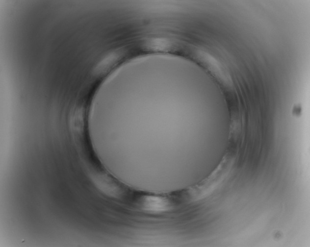 X0000103330167200809192213