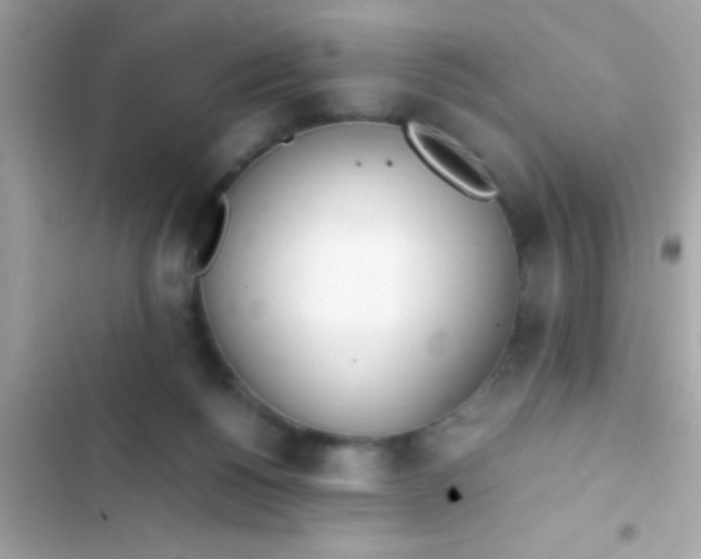 X0000103330168200809192213