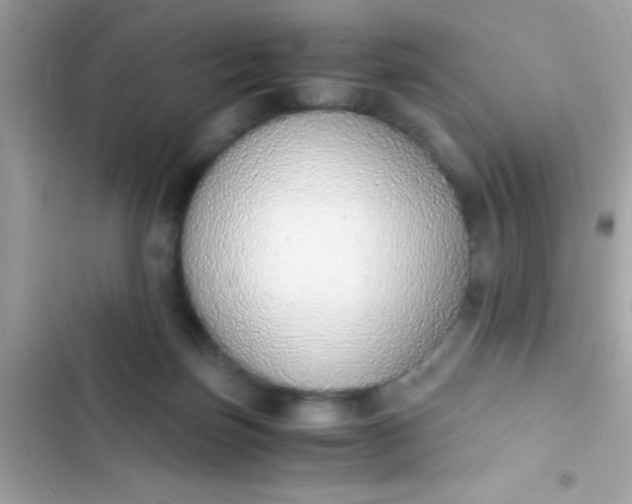 X0000103330171200809192213