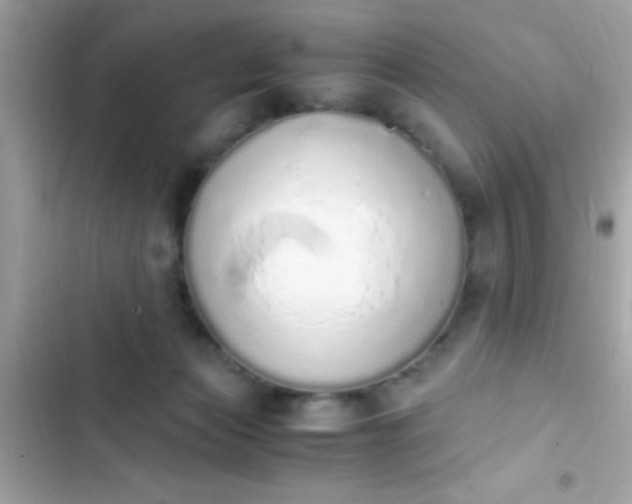 X0000103330173200809192213