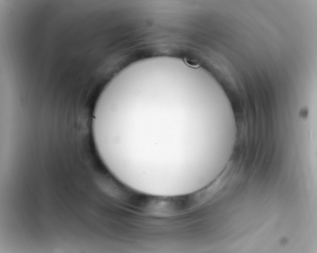 X0000103330174200809192213