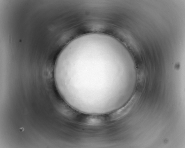 X0000103330175200809192213