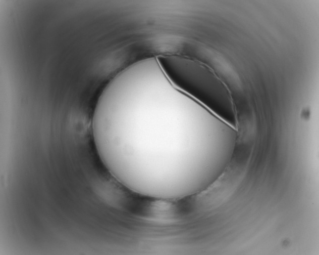 X0000103330176200809192213