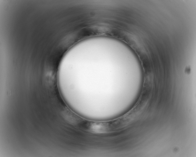 X0000103330177200809192213