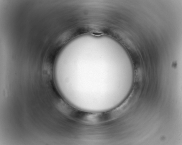 X0000103330178200809192213