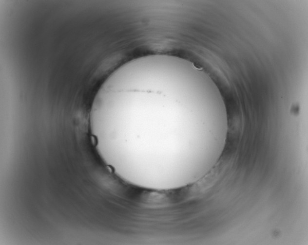 X0000103330180200809192213