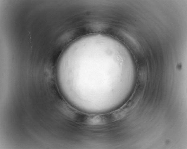 X0000103330181200809192213