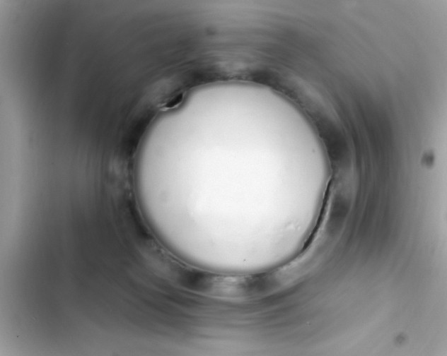 X0000103330182200809192213