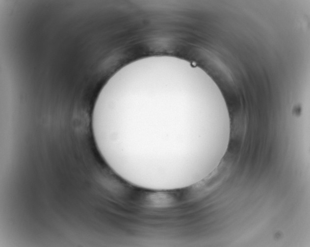 X0000103330183200809192213