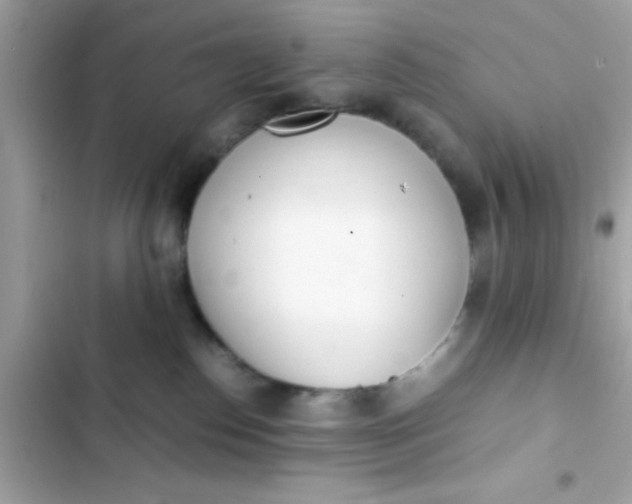 X0000103330186200809192213