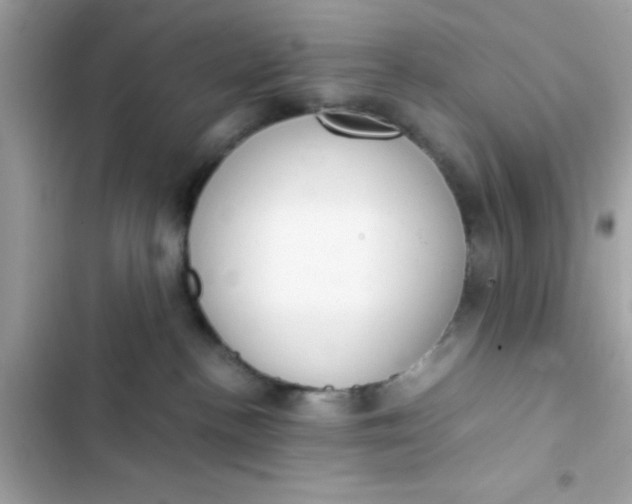 X0000103330188200809192213