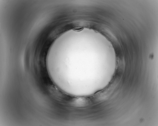 X0000103330189200809192213