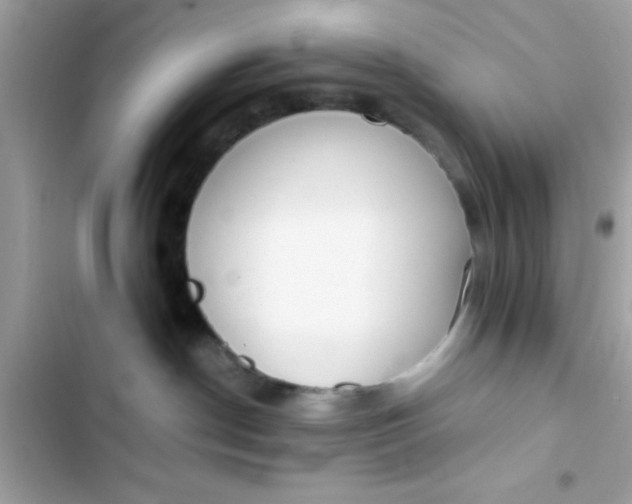 X0000103330190200809192213