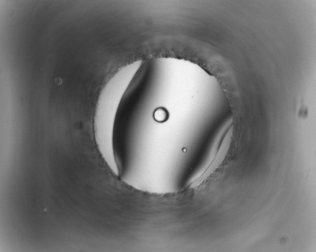 X0000103330192200809192213